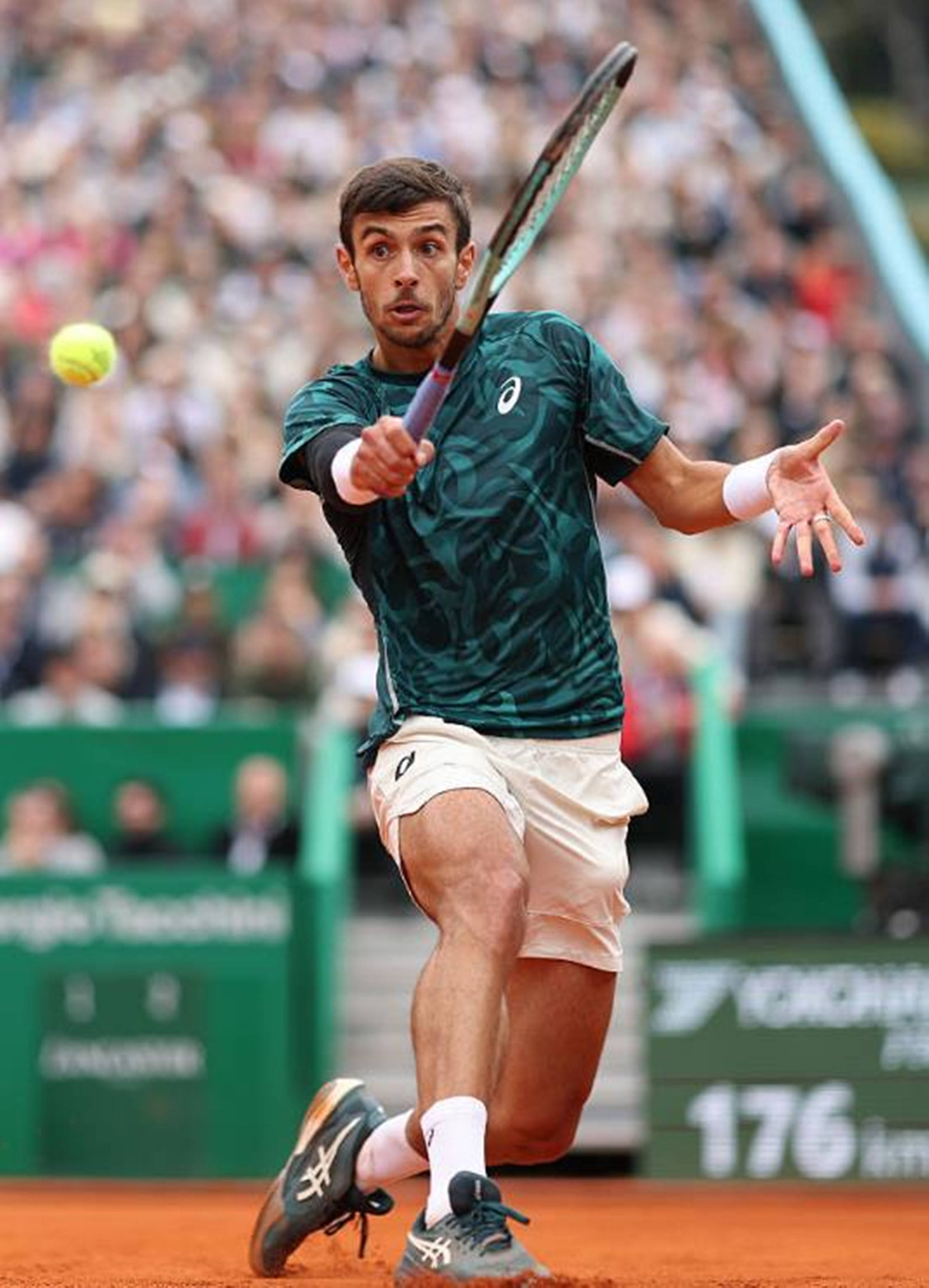 了多个进攻 了多个进攻